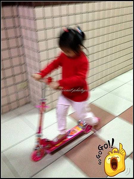 1IMG_3409 1IMG_3409
