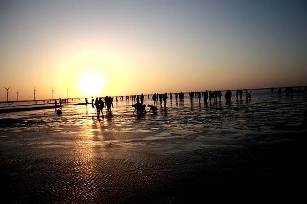 IMG24776.jpg IMG24776.jpg