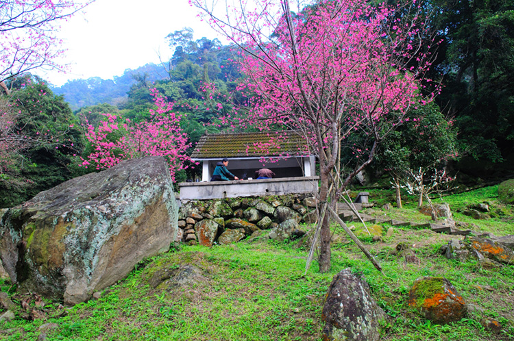 原始大小_2207.jpg 原始大小_2207.jpg