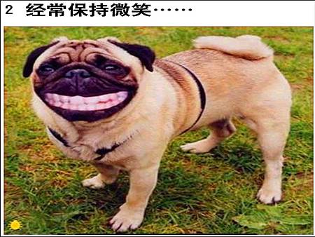 幻灯片2.JPG 幻灯片2.JPG