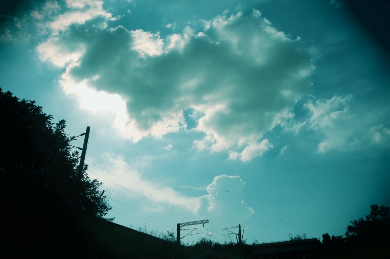 尋找夏天01.jpg 尋找夏天01.jpg