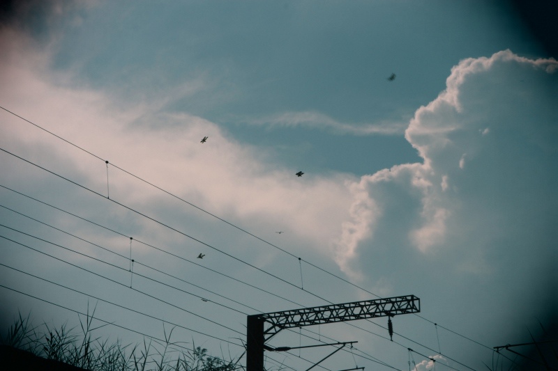 尋找夏天02.jpg 尋找夏天02.jpg