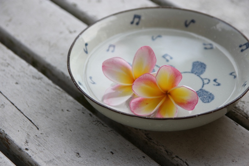 尋找夏天04.jpg 尋找夏天04.jpg