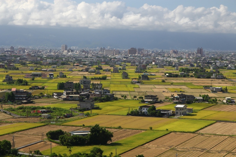 尋找夏天06.jpg 尋找夏天06.jpg
