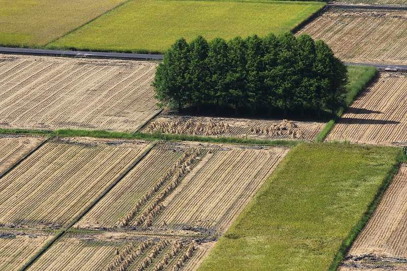 尋找夏天07.jpg 尋找夏天07.jpg