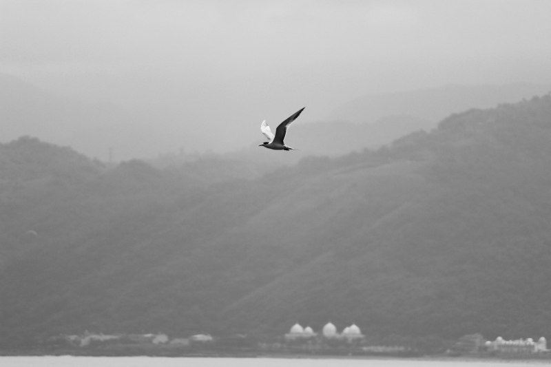 尋找夏天08.jpg 尋找夏天08.jpg