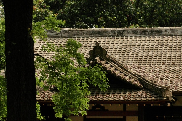 旅行台灣的25個驚喜53 旅行台灣的25個驚喜53