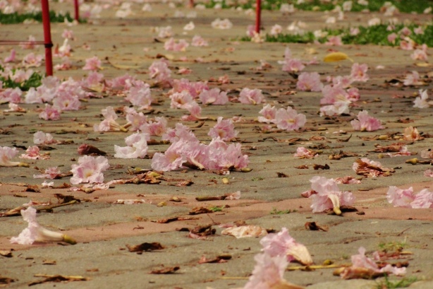 旅行台灣的25個驚喜54 旅行台灣的25個驚喜54