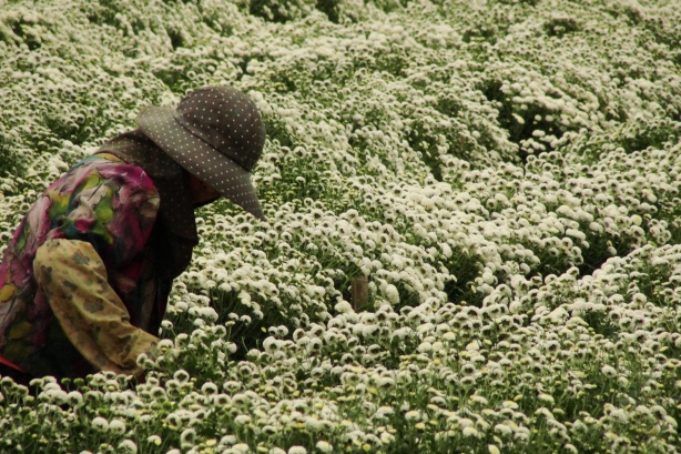 旅行台灣的25個驚喜63 旅行台灣的25個驚喜63