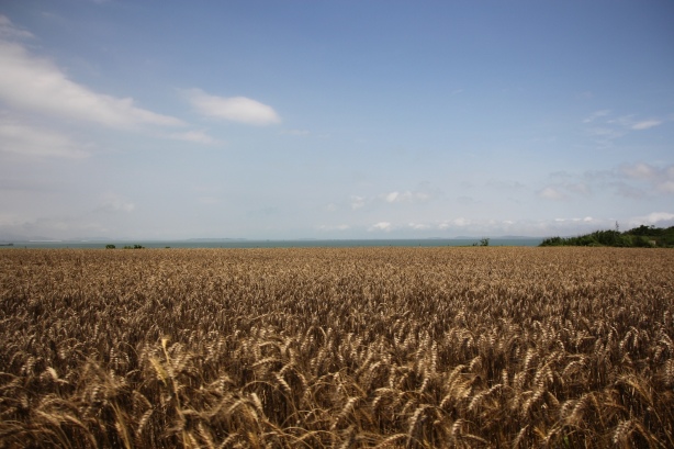 旅行台灣的25個驚喜67 旅行台灣的25個驚喜67