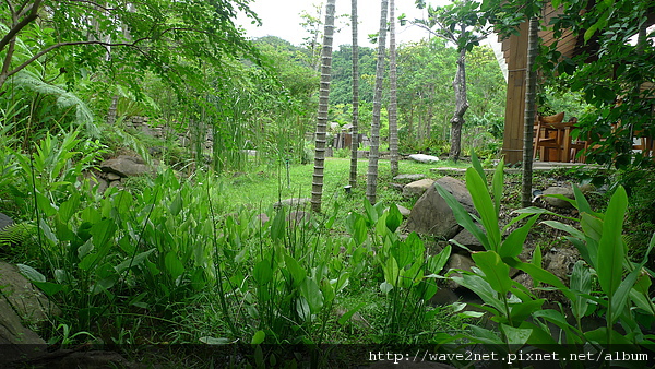 P1010269.JPG P1010269.JPG