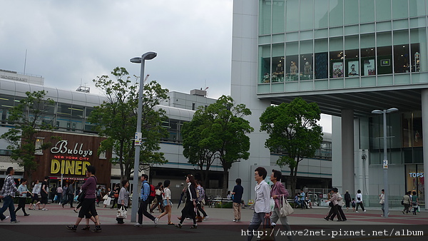 P1010159.JPG P1010159.JPG