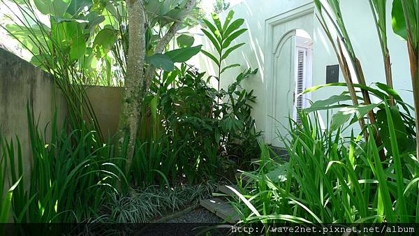 P1020834.JPG P1020834.JPG