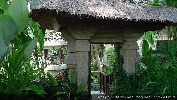 P1020855.JPG P1020855.JPG