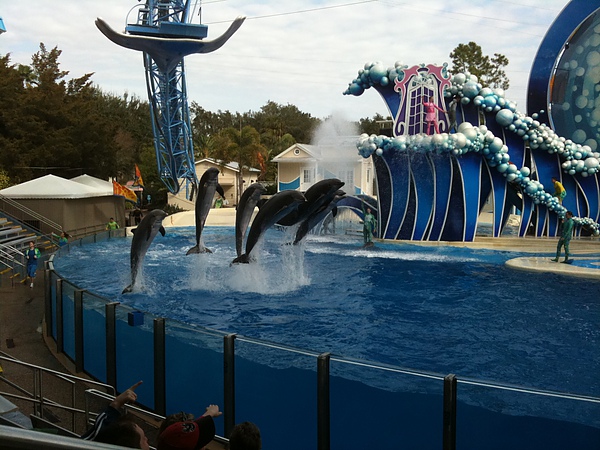 IMG_0762.JPG IMG_0762.JPG