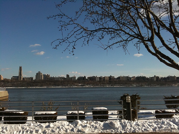 IMG_0732.JPG IMG_0732.JPG