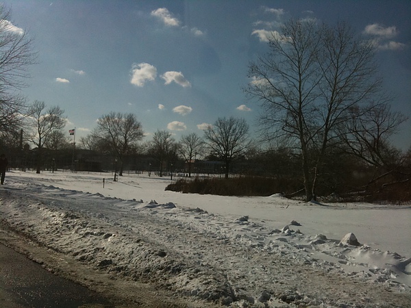 IMG_0731.JPG IMG_0731.JPG