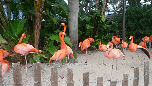 P1020028.JPG P1020028.JPG