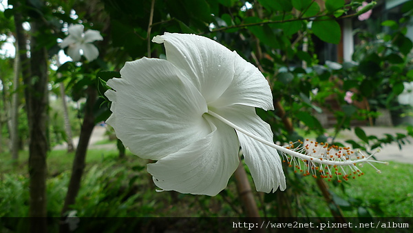 P1010270.JPG P1010270.JPG