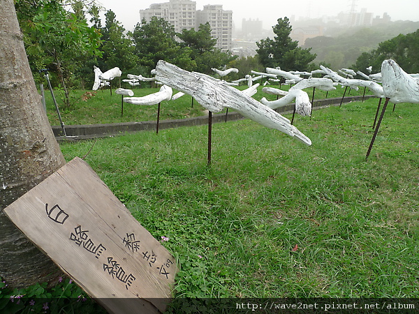 P1000898.JPG P1000898.JPG