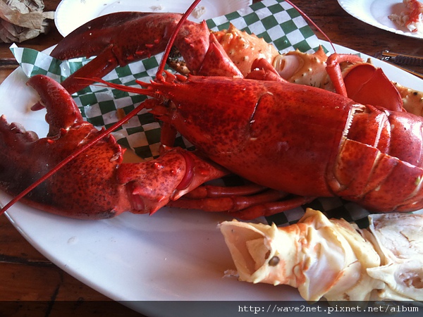 IMG_0179.JPG IMG_0179.JPG