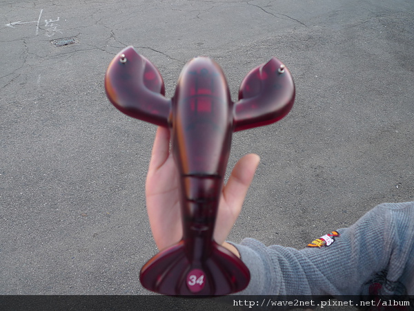 P1000992.JPG P1000992.JPG