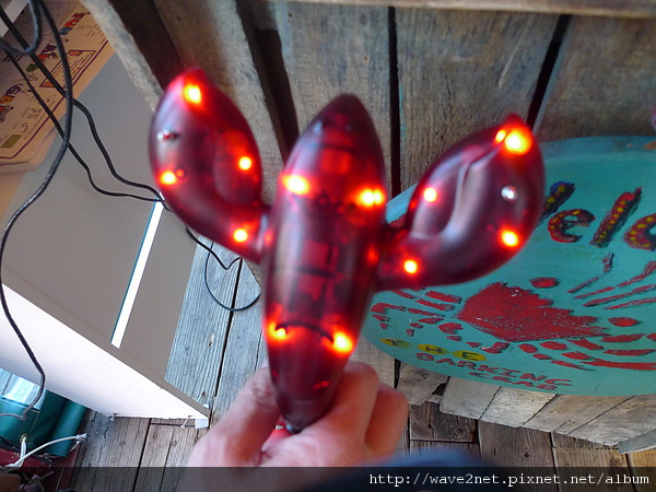 P1010001.JPG P1010001.JPG