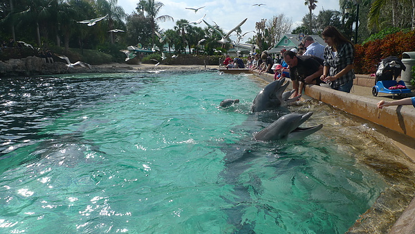 P1020056.JPG P1020056.JPG