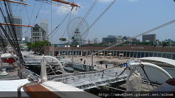 P1010115.JPG P1010115.JPG