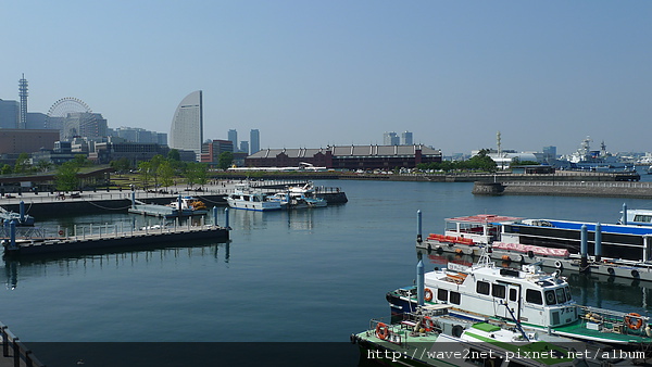 P1010141.JPG P1010141.JPG