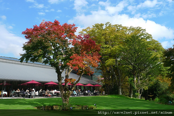 P1010747.JPG P1010747.JPG