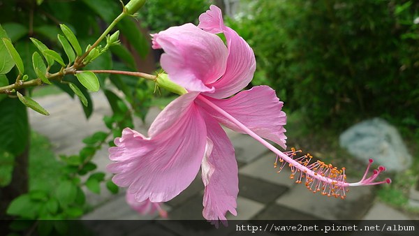 P1010357.JPG P1010357.JPG