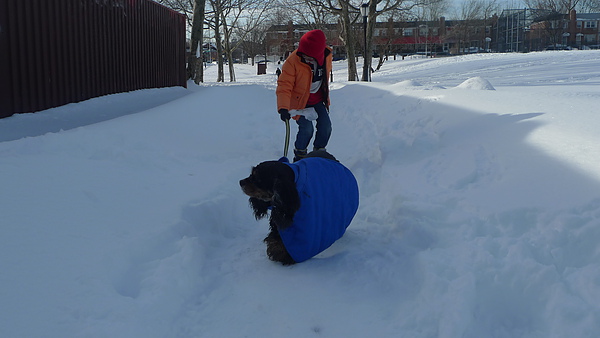 P1020209.JPG P1020209.JPG