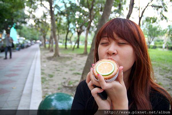 IMG_1334.1.JPG IMG_1334.1.JPG