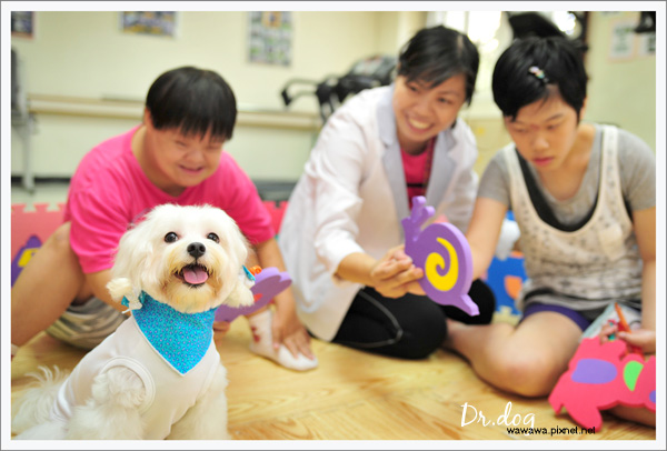Dr.dog高雄寶弟1.jpg Dr.dog高雄寶弟1.jpg