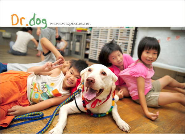 狗醫生福谷.jpg