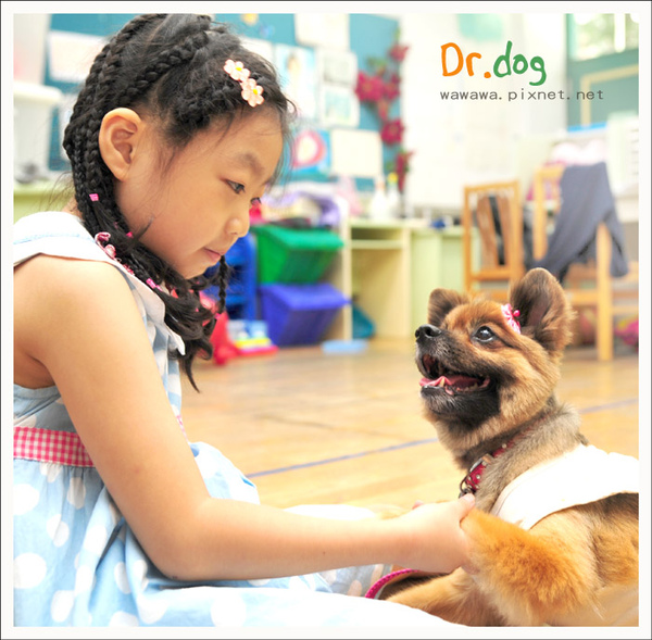 dr.dog信義國小_31.jpg
