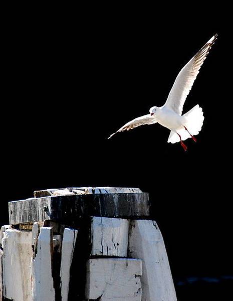 1346070968_5ebe7b55_31