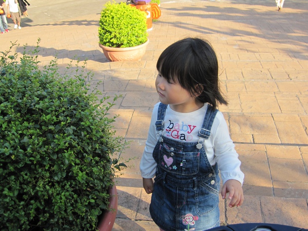 IMG_0989.JPG IMG_0989.JPG