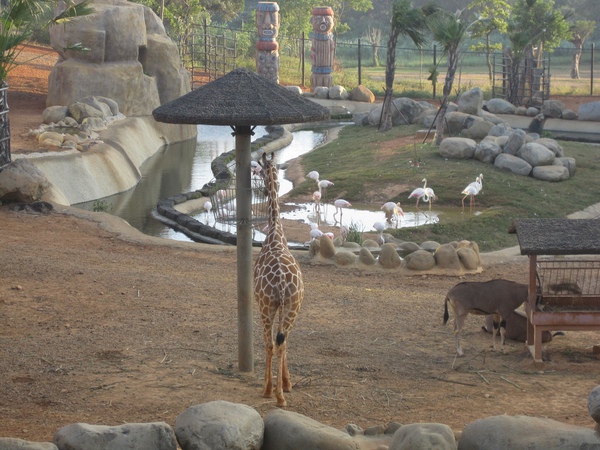 IMG_1006.JPG IMG_1006.JPG