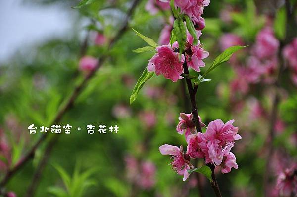 1-DSC_0361 1-DSC_0361