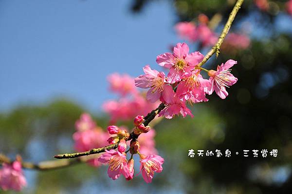 1-DSC_0065 1-DSC_0065