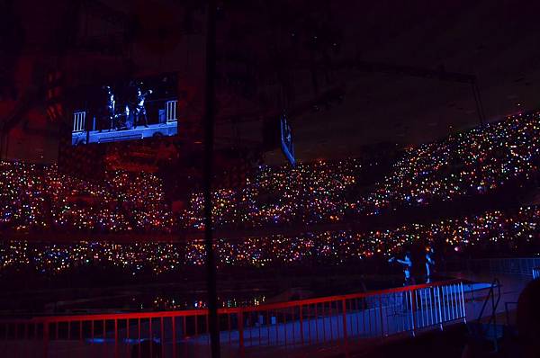 「雨のピアニスト」「フィンランド・ミラクル」「狼とプライド」2