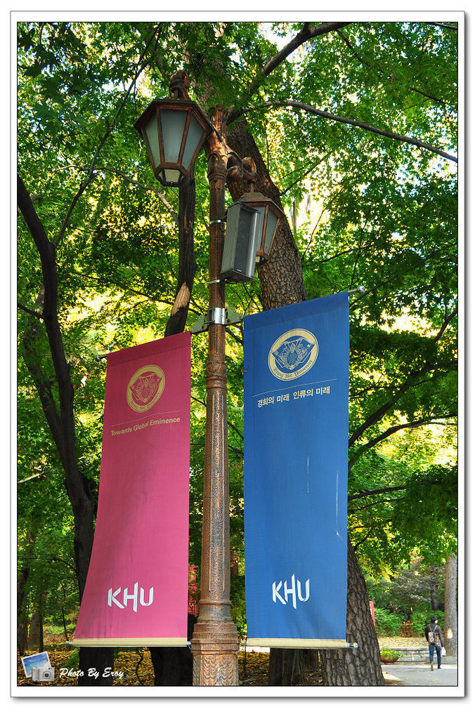 nEO_IMG_DSC_0010 nEO_IMG_DSC_0010