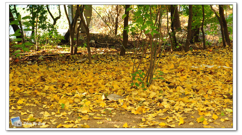 nEO_IMG_DSC_0012 nEO_IMG_DSC_0012