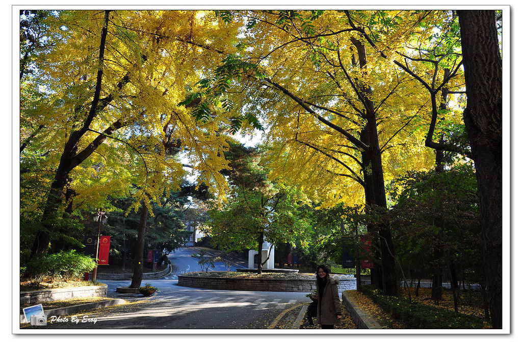 nEO_IMG_DSC_0018 nEO_IMG_DSC_0018