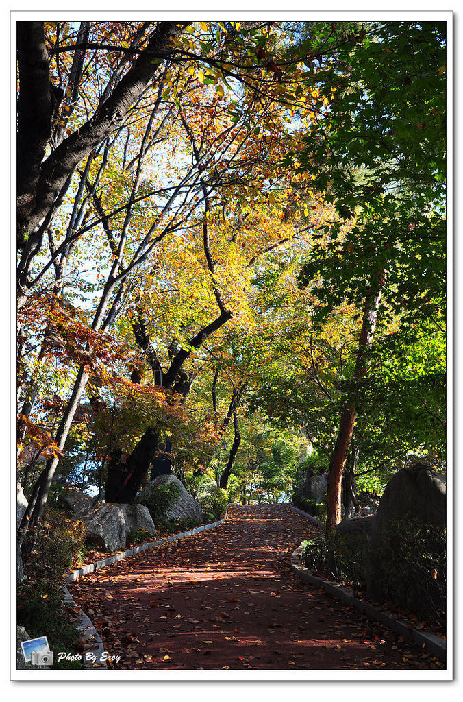 nEO_IMG_DSC_0023 nEO_IMG_DSC_0023