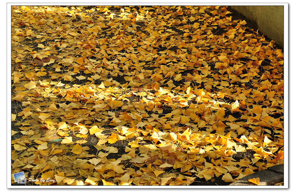 nEO_IMG_DSC_0025 nEO_IMG_DSC_0025