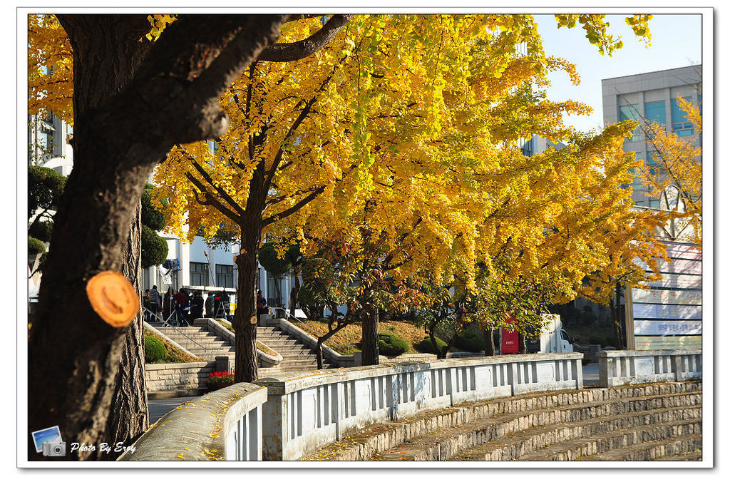 nEO_IMG_DSC_0030 nEO_IMG_DSC_0030