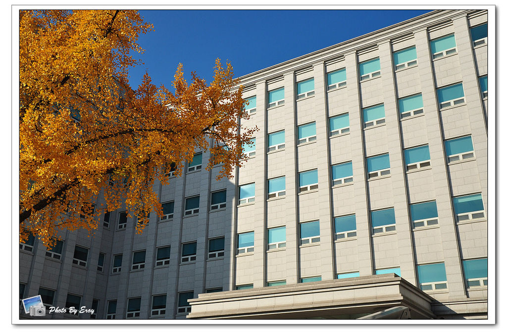 nEO_IMG_DSC_0033 nEO_IMG_DSC_0033